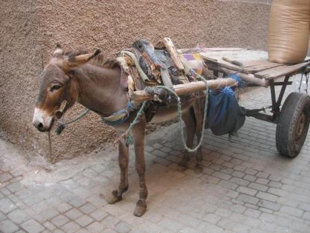 aller= 3ra = era zid